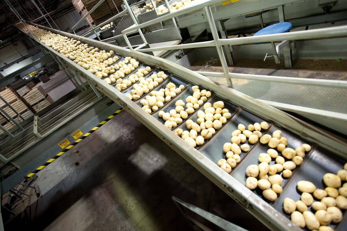 Taśmy przenośnikowe w sortowni